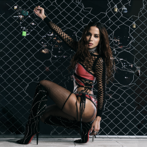 ANITTA-PP-WEBSITE-